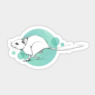 Mouse chase Sticker